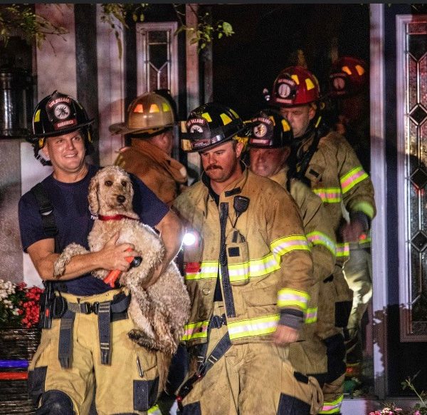 Deagan dog with firefighters